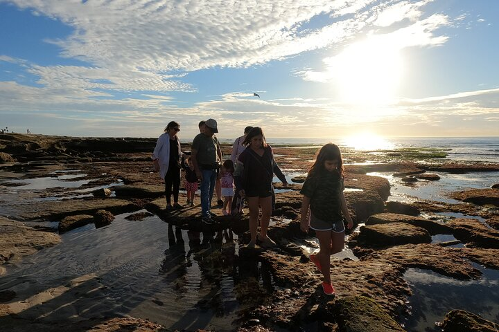 Exploring the tide pools!